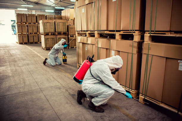 Best Flea Control Services  in Live Oak, CA