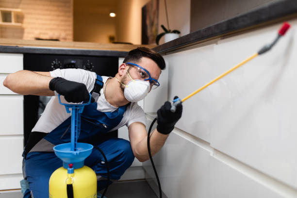 Best Local Pest Control Services  in Live Oak, CA