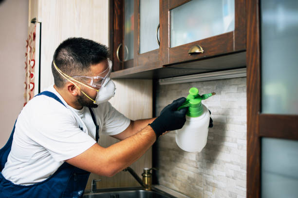Best Ant Control Services  in Live Oak, CA