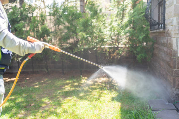 Best Emergency Pest Control  in Live Oak, CA