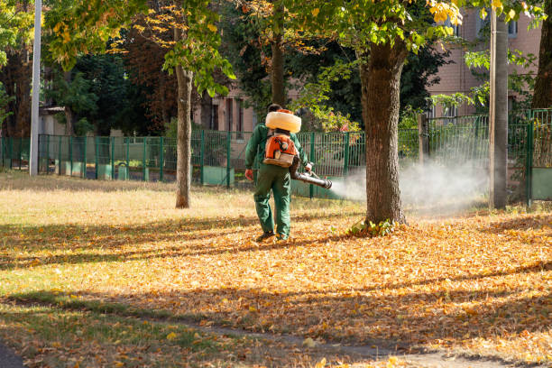Best Affordable Pest Control Services  in Live Oak, CA