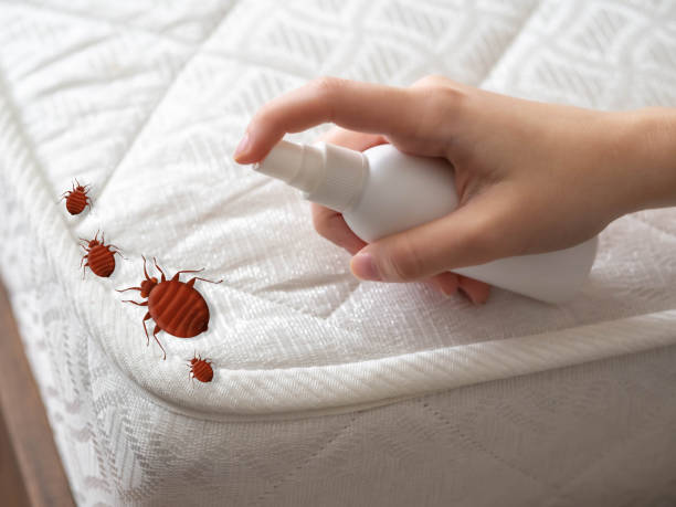 Best Pest Control for Restaurants  in Live Oak, CA