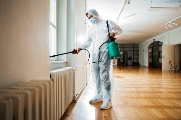 Best Pest Control Near Me  in Live Oak, CA