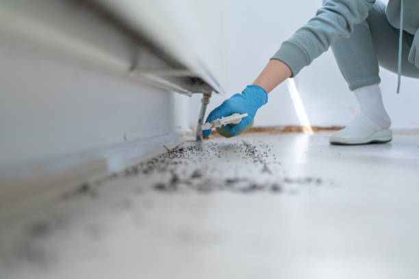 Best Pest Prevention Services  in Live Oak, CA